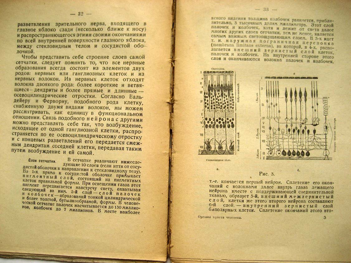 Мангольд Э. Органы чувств человека.