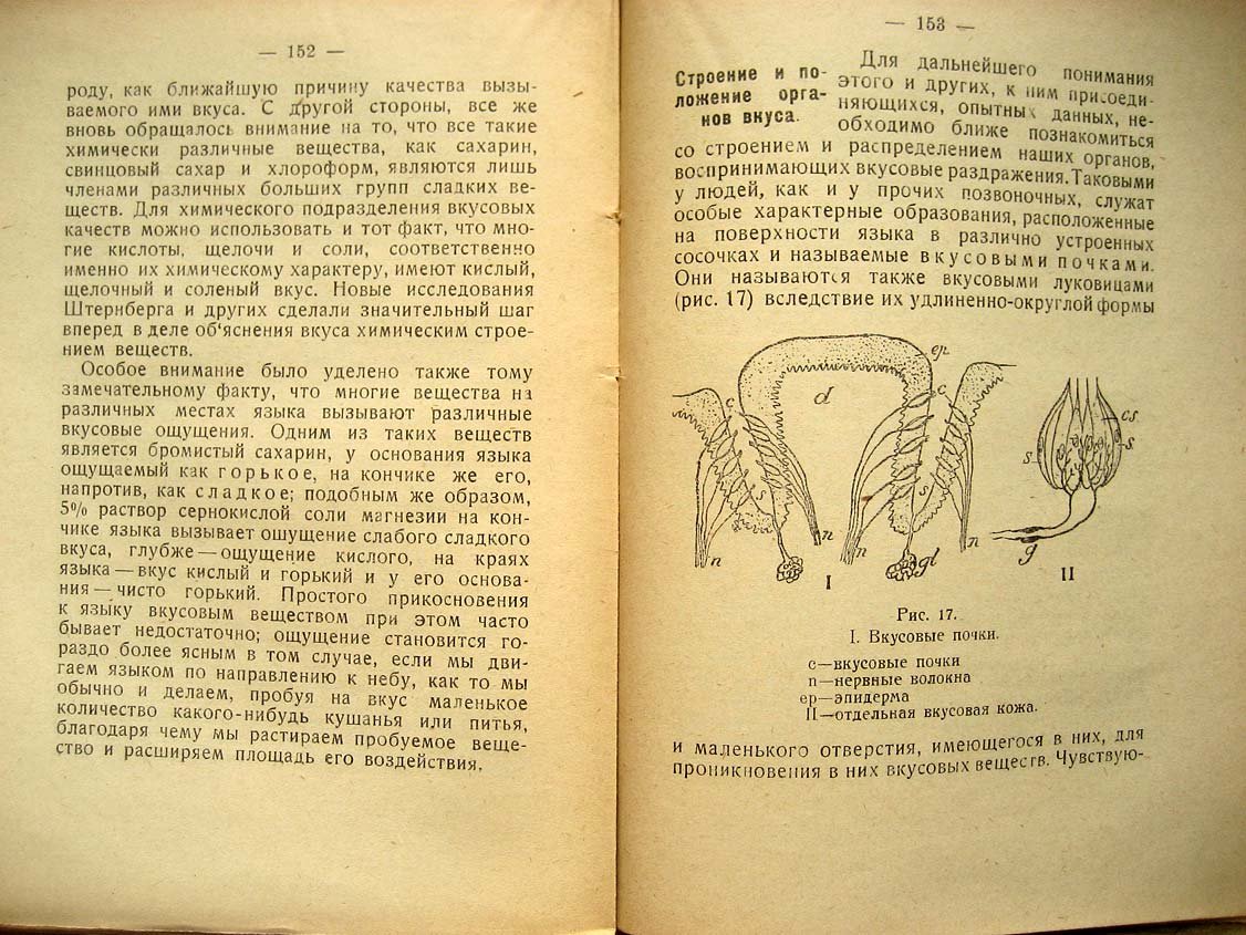 Мангольд Э. Органы чувств человека.