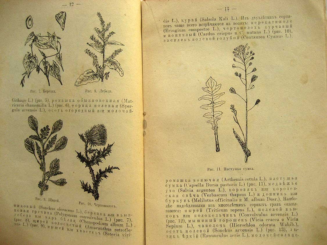Федоров Д. Истребление сорных трав на полях.