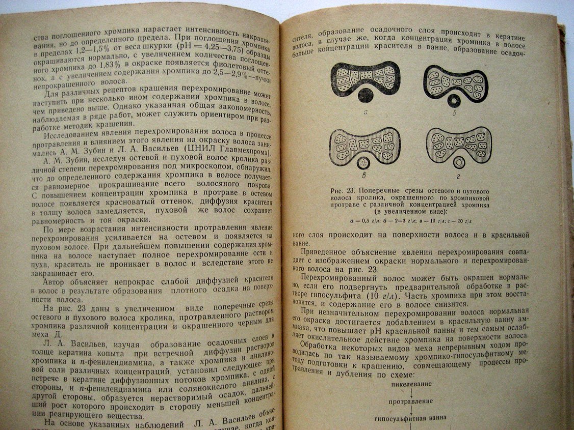 Родионов А. Крашение меха.
