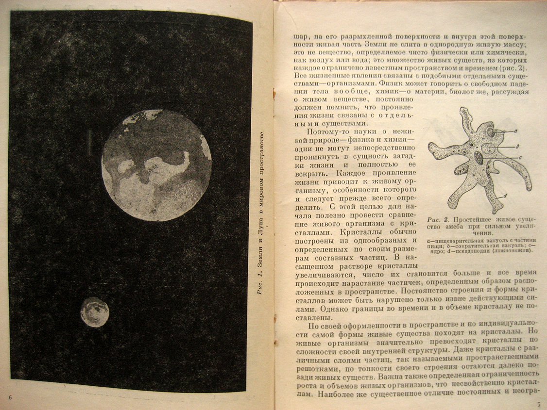 Шаксель Ю. Жизнь и ее распространение на Земле.