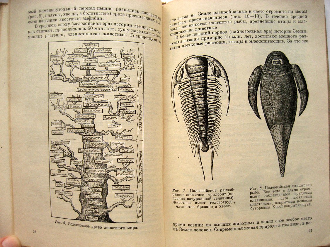 Шаксель Ю. Жизнь и ее распространение на Земле.
