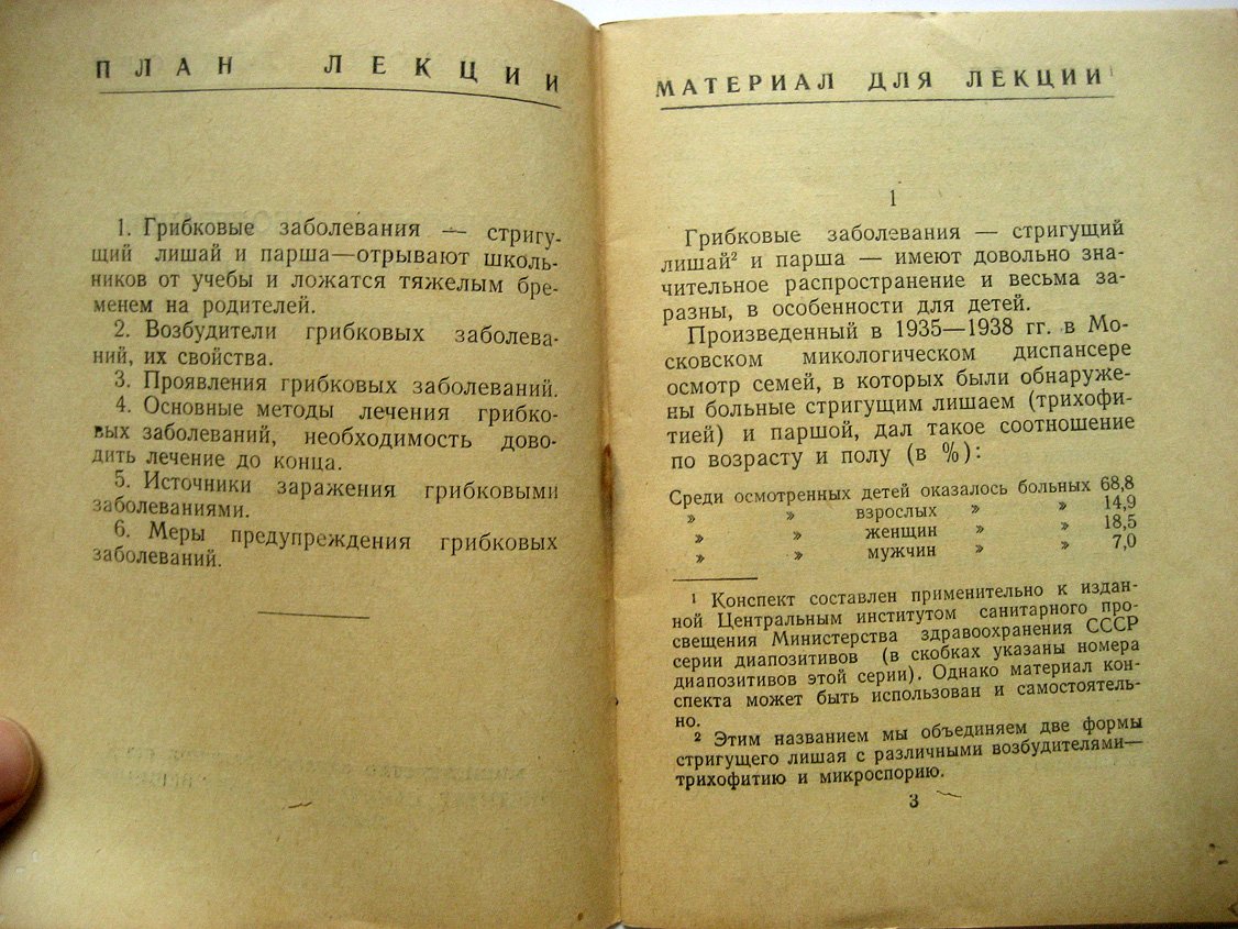 Кожевникова М. Грибковые заболевания кожи (Стригущий лишай и парша).