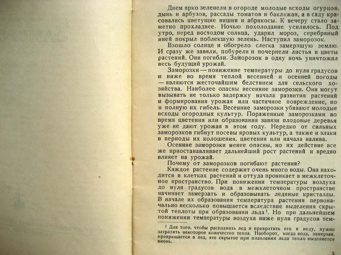 Ярославцев И. Заморозки.