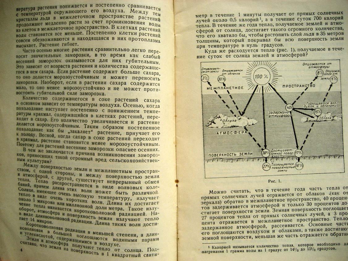 Ярославцев И. Заморозки.