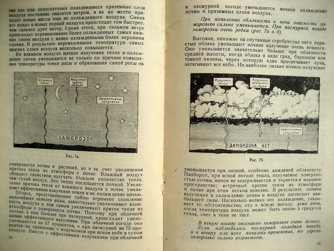 Ярославцев И. Заморозки.