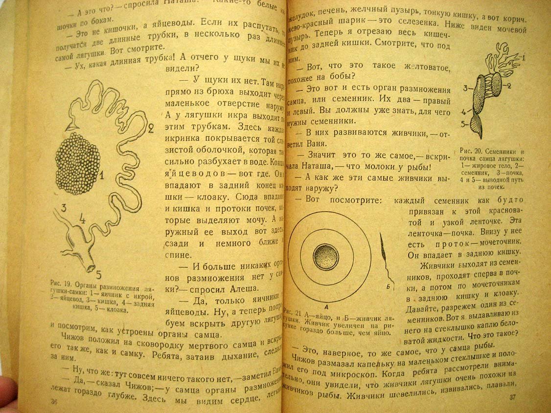 Покровский С. Беседы о размножении животных.