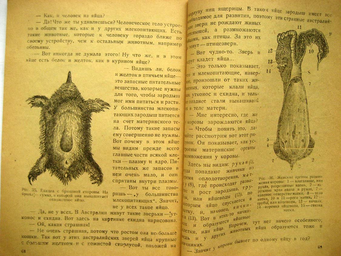 Покровский С. Беседы о размножении животных.