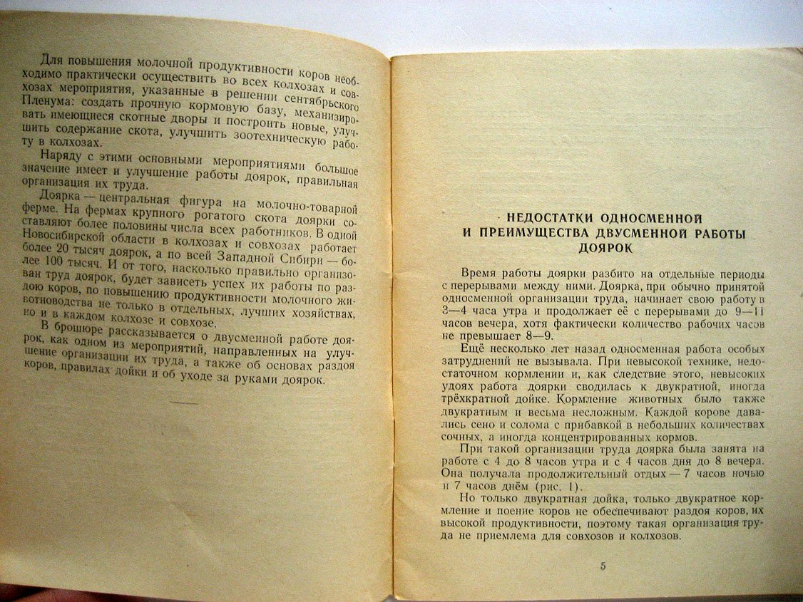 Овсянников Г. Двусменная работа доярок.
