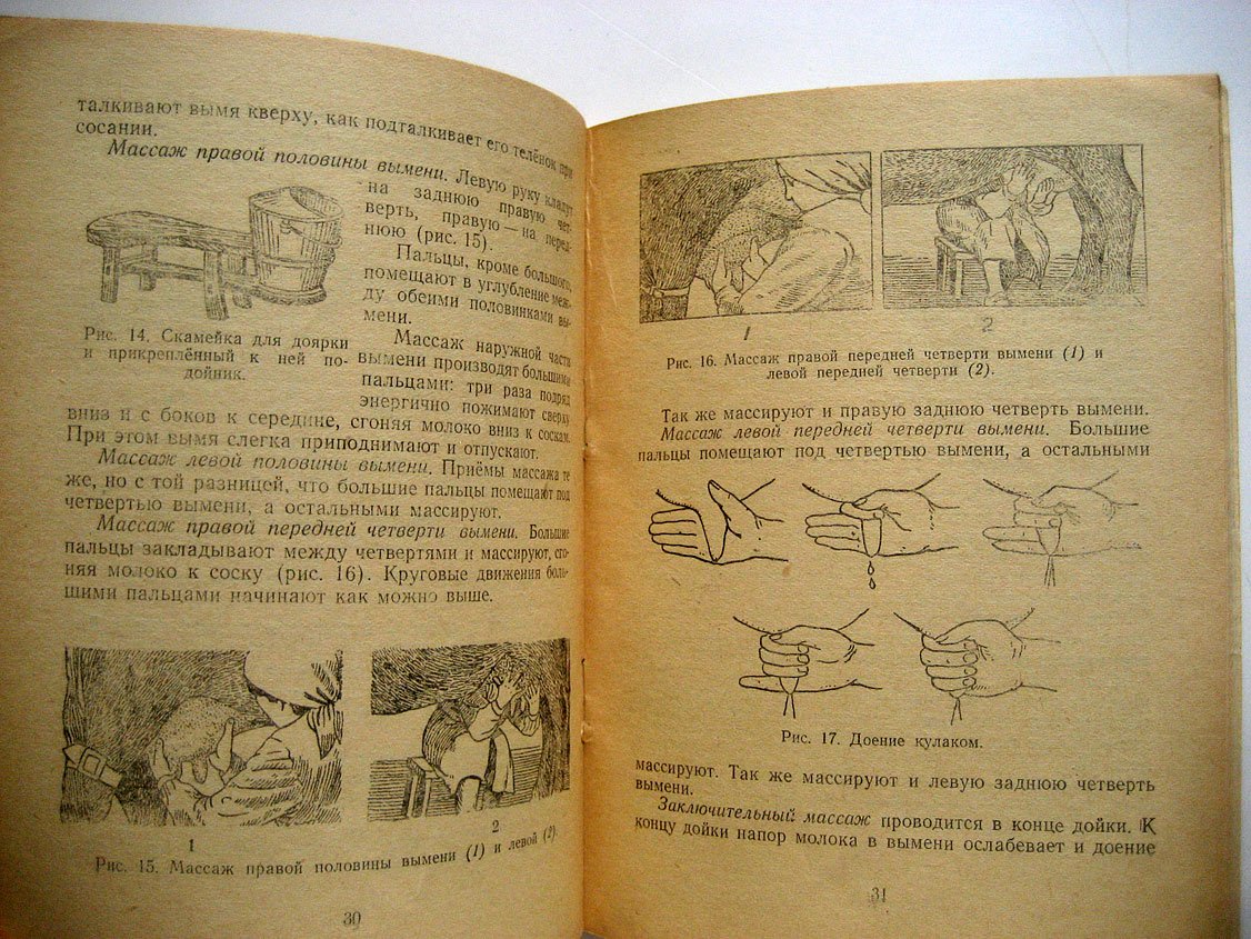 Овсянников Г. Двусменная работа доярок.