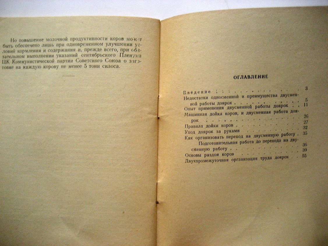 Овсянников Г. Двусменная работа доярок.