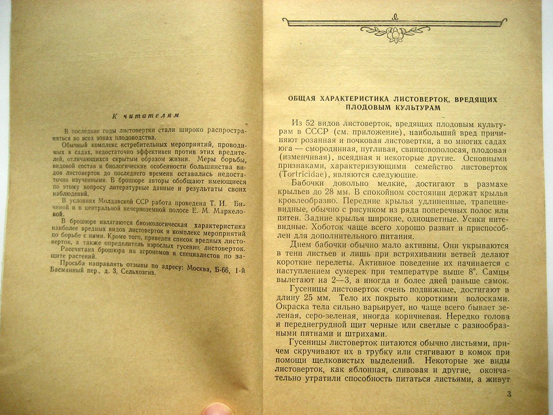 Бичина Т., Маркелова Е. Садовые листовертки.