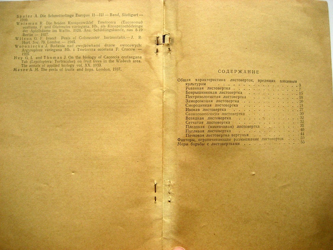 Бичина Т., Маркелова Е. Садовые листовертки.
