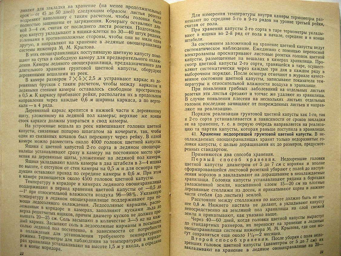 Инструкция по длительному хранению свежих овощей.