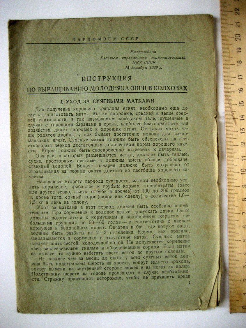 Инструкция по выращиванию молодняка овец в колхозах.