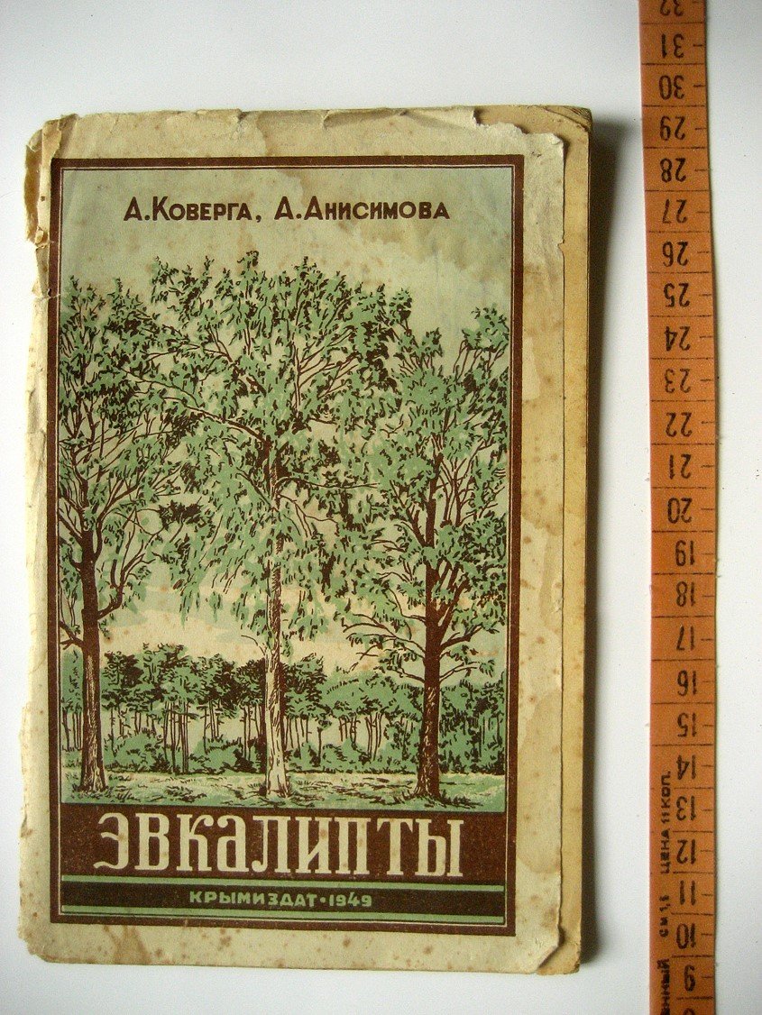 Коверга А., Анисимова А. Эвкалипты.