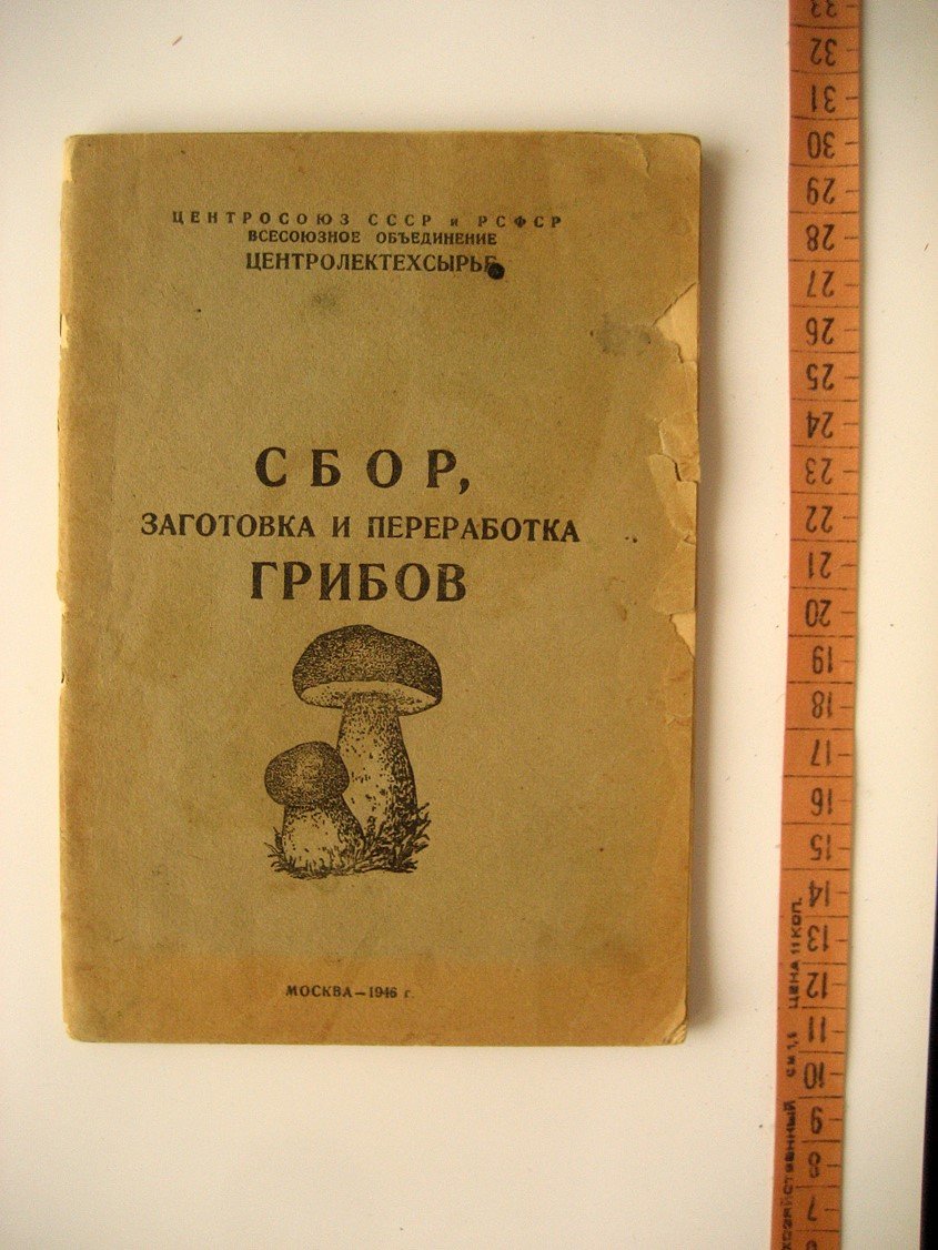 Сбор, заготовка и переработка грибов. Инструкция для заготовителей