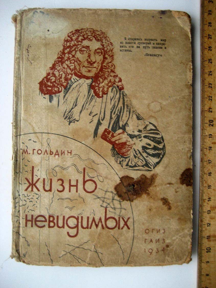 Гольдин М. Жизнь невидимых.