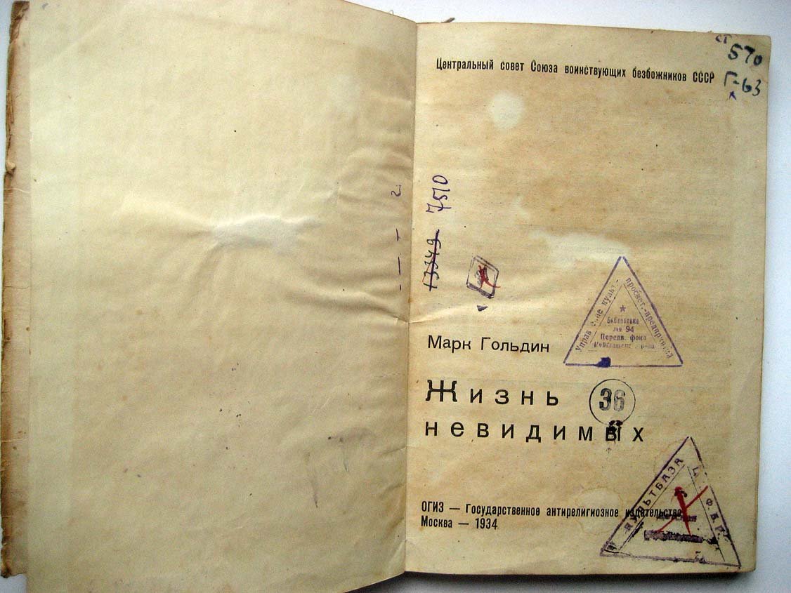Гольдин М. Жизнь невидимых.