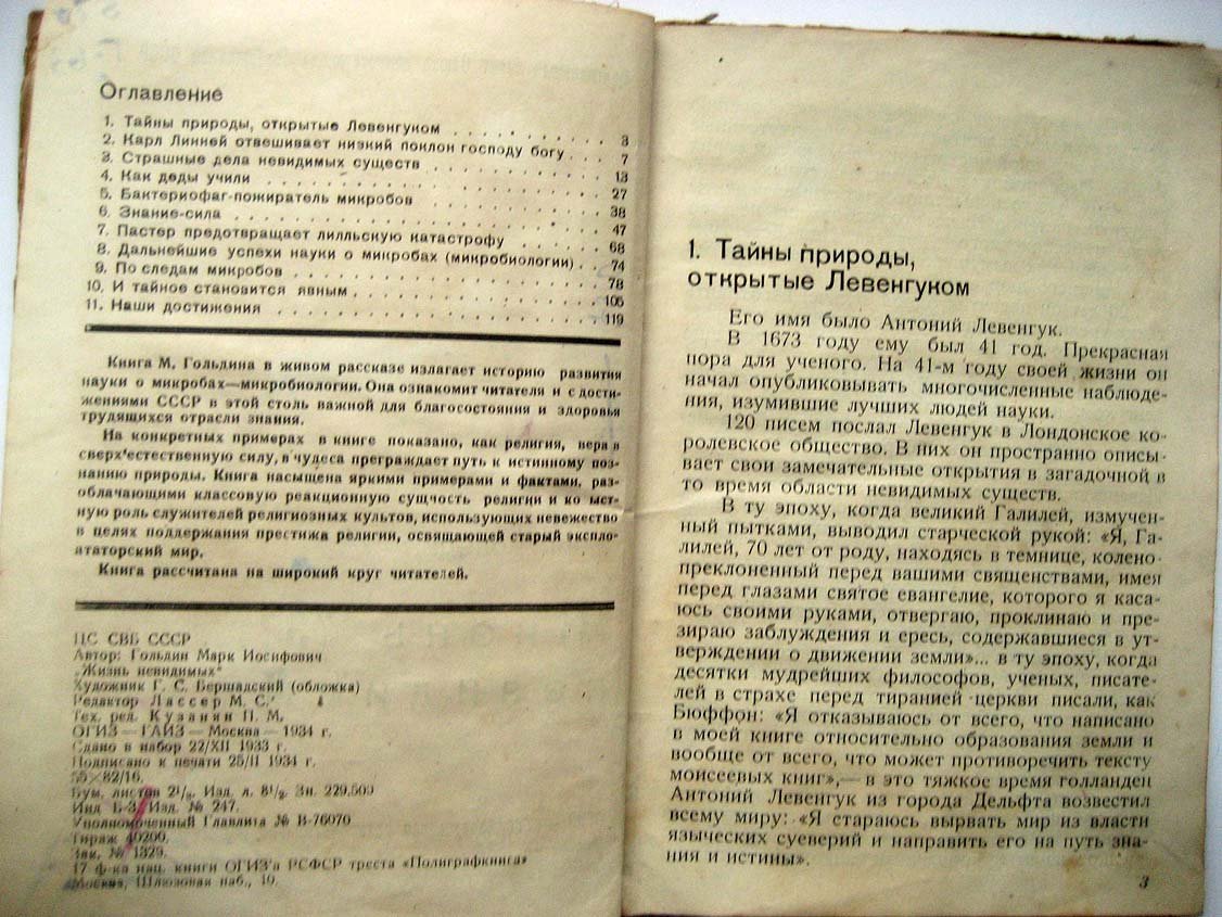 Гольдин М. Жизнь невидимых.