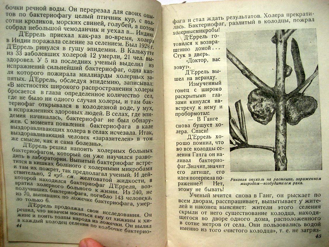 Гольдин М. Жизнь невидимых.