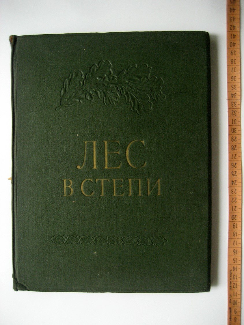 Эйтинген Г. Лес в степи.