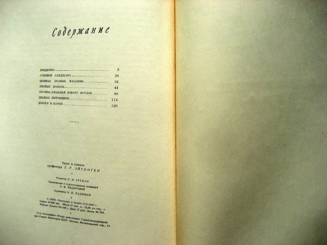 Эйтинген Г. Лес в степи.