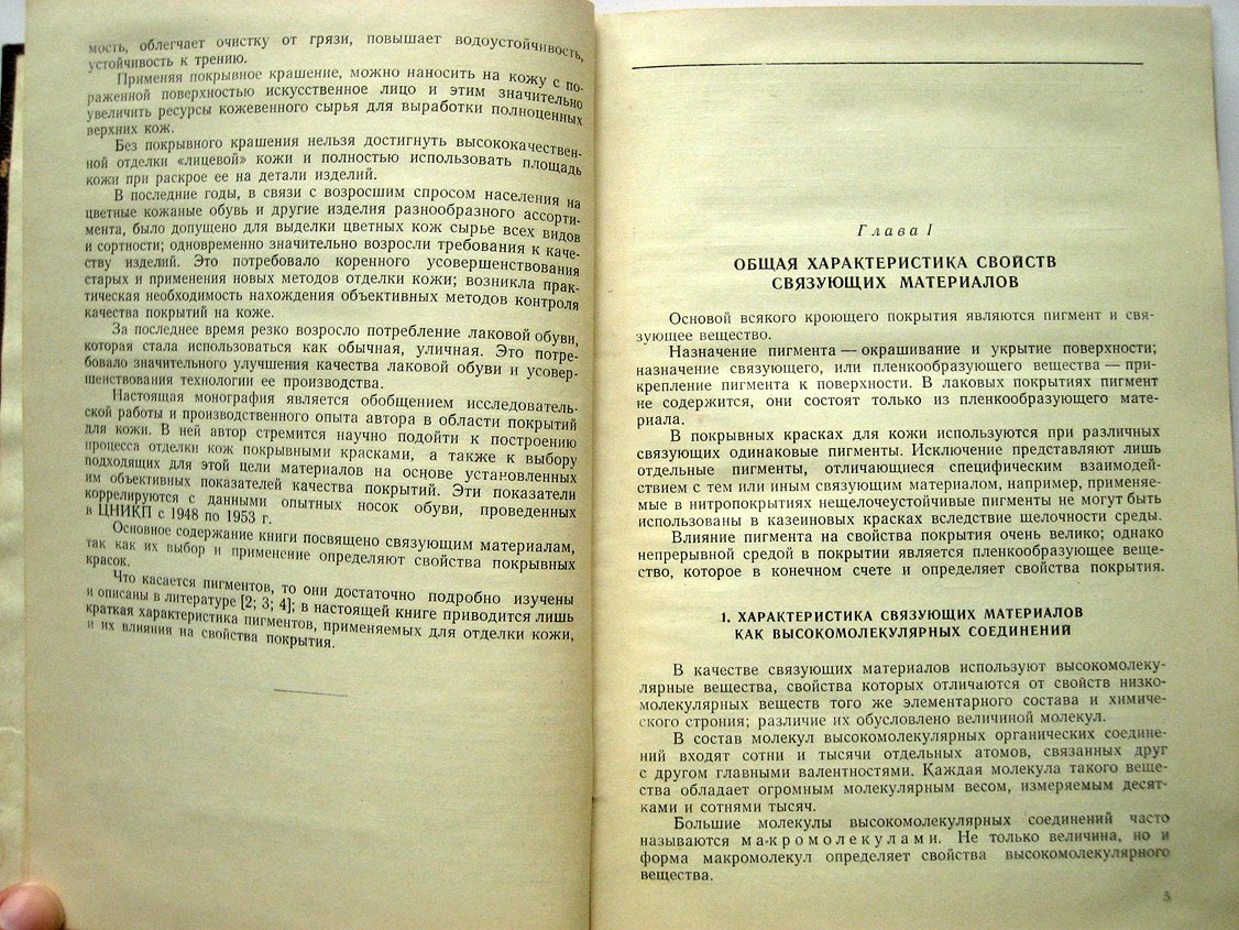 Елисеева В. Теоретические основы и практические методы покрывного крашения и лакирования кож.