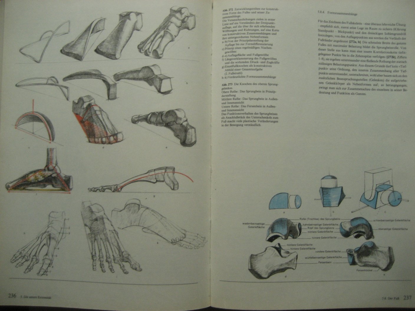 Bammes Gottfried. Der Nackte Mensch (Нагой человек).