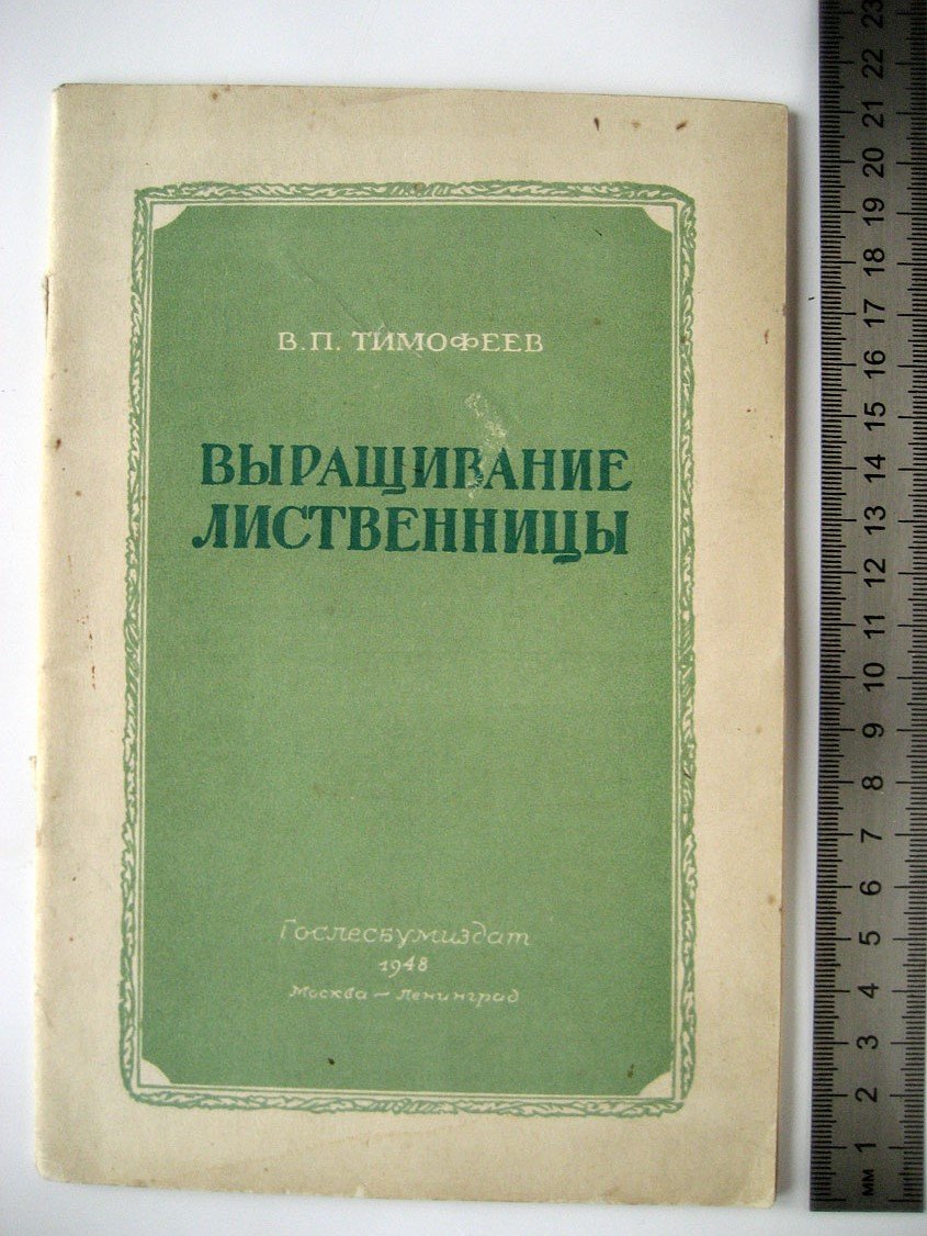Тимофеев В. Выращивание лиственницы.