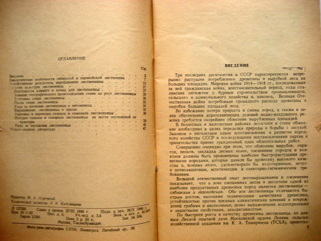 Тимофеев В. Выращивание лиственницы.