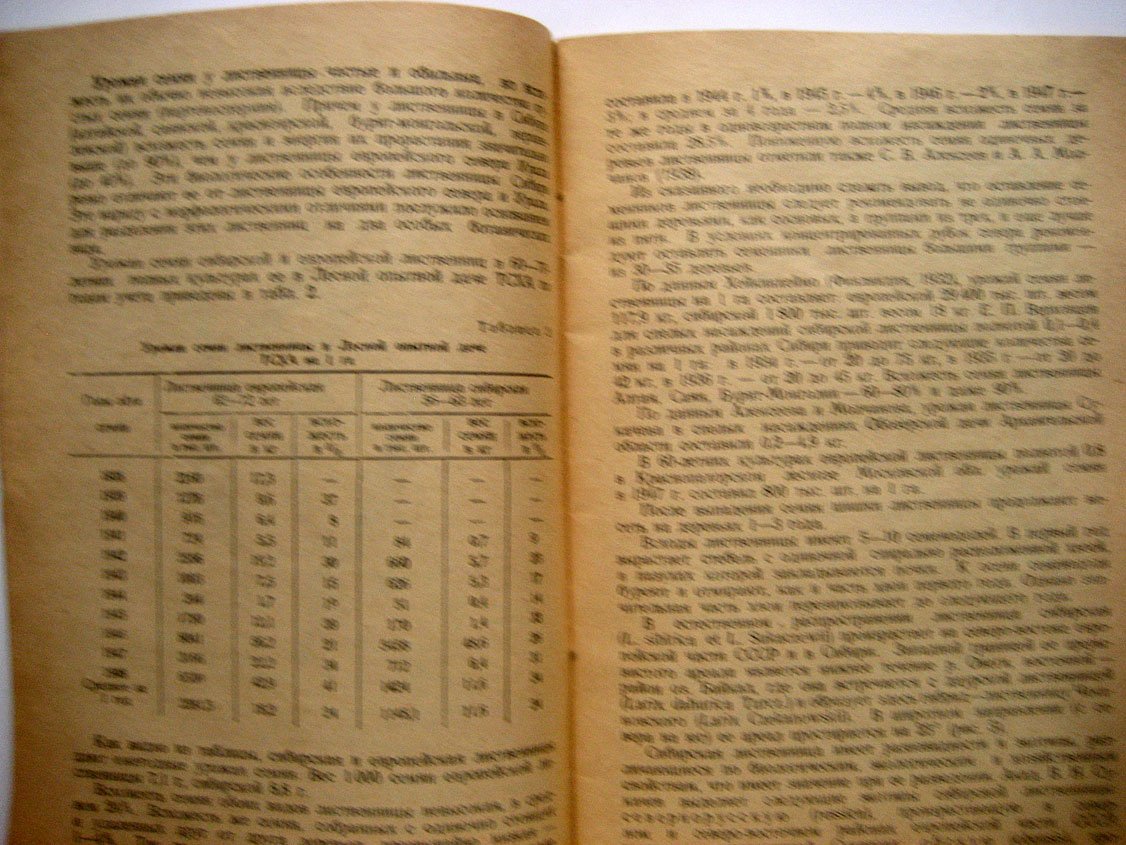 Тимофеев В. Выращивание лиственницы.