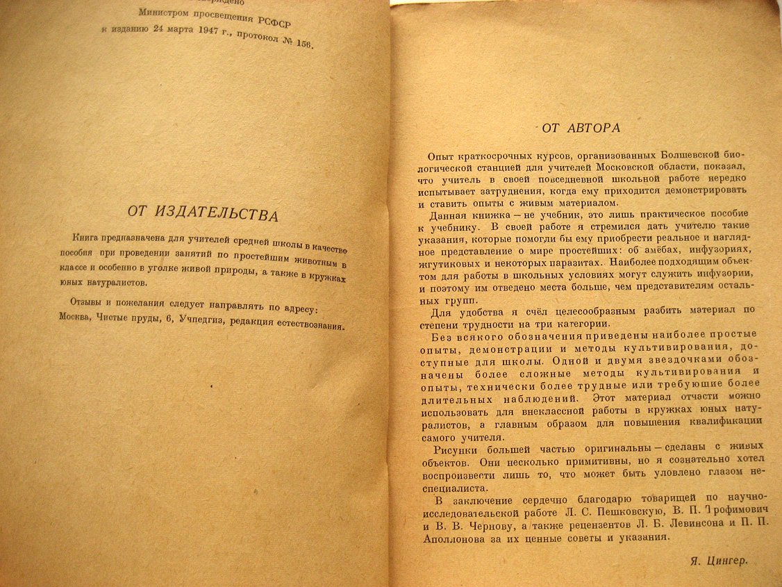 Цингер Я. Простейшие.