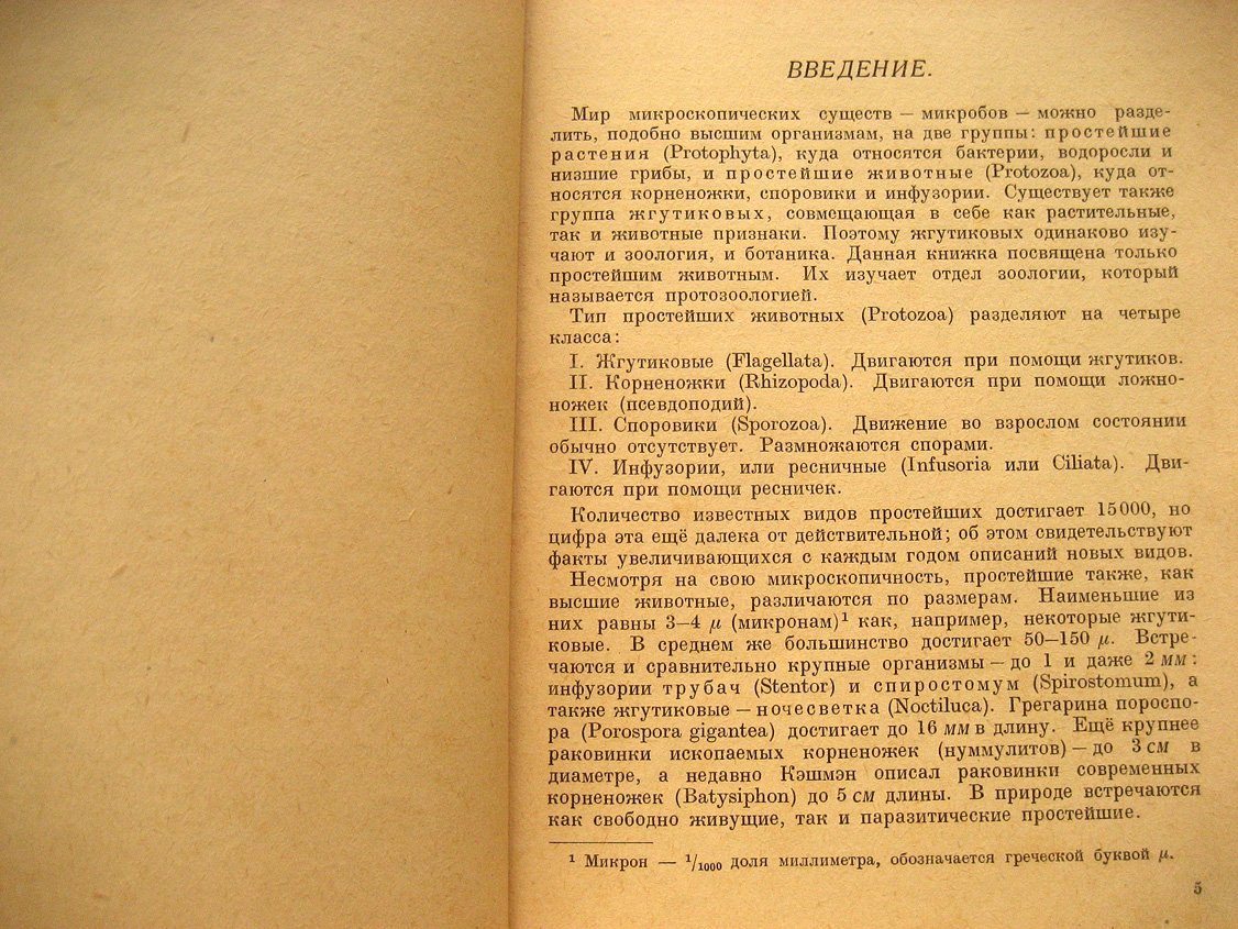Цингер Я. Простейшие.