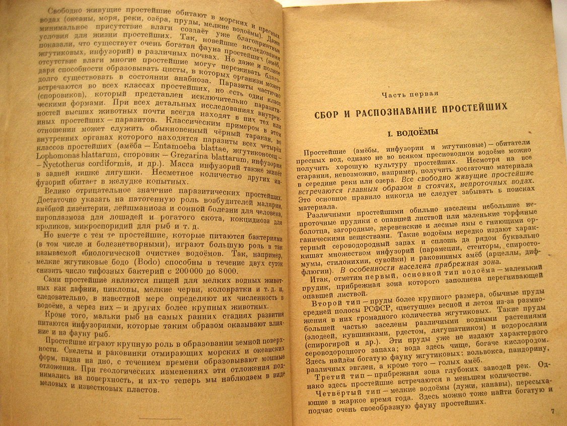 Цингер Я. Простейшие.