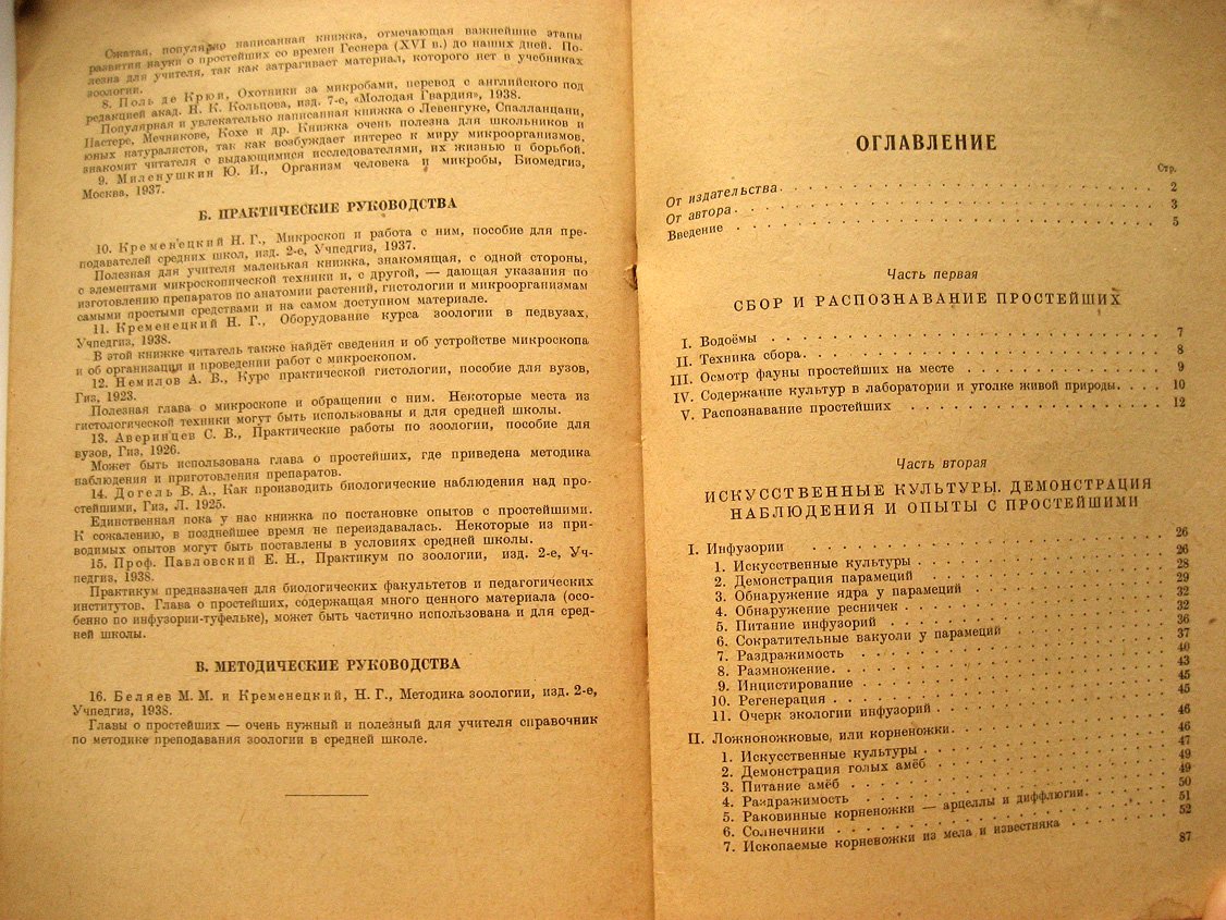 Цингер Я. Простейшие.