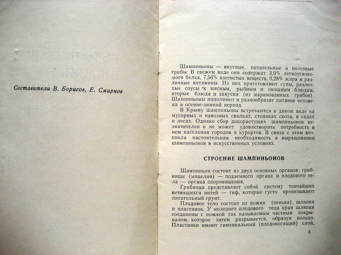 Выращивание шампиньонов в Крыму (временное руководство).