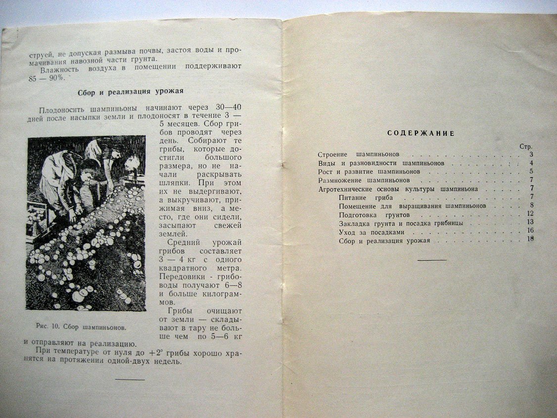 Выращивание шампиньонов в Крыму (временное руководство).