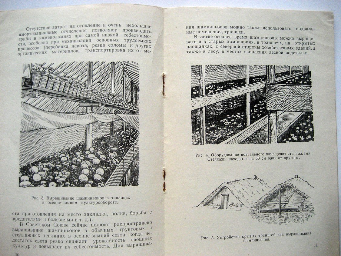 Выращивание шампиньонов в Крыму (временное руководство).