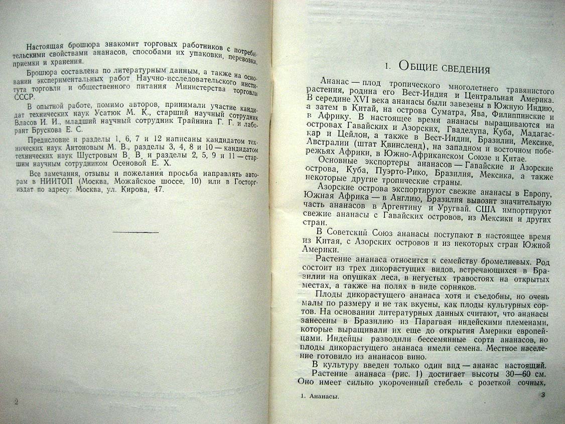 Антонов М. Ананасы.