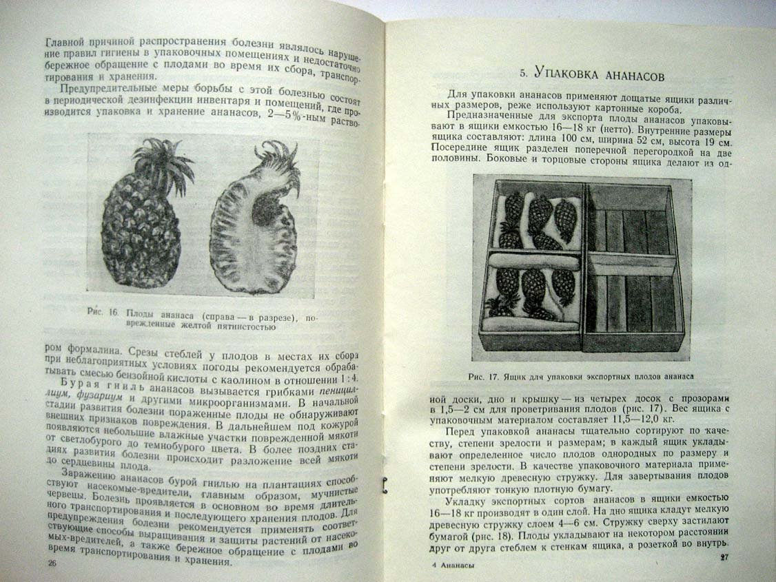 Антонов М. Ананасы.