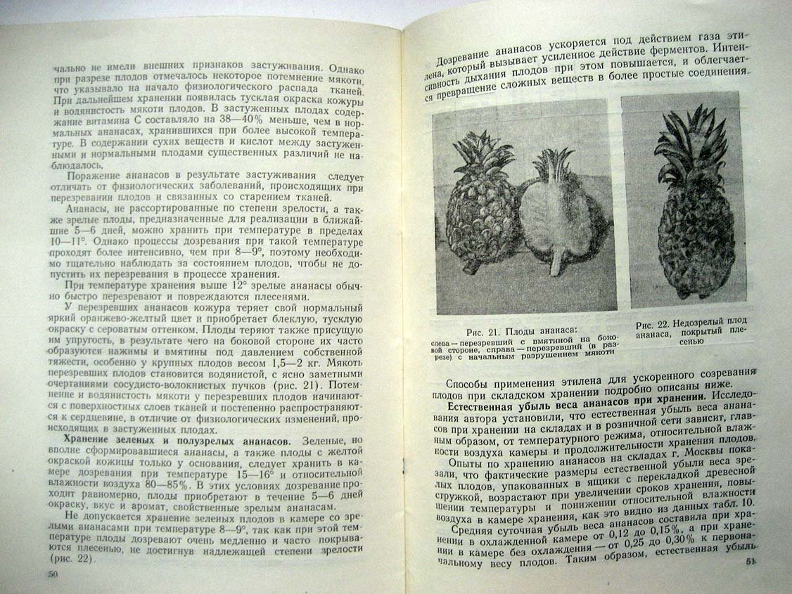 Антонов М. Ананасы.