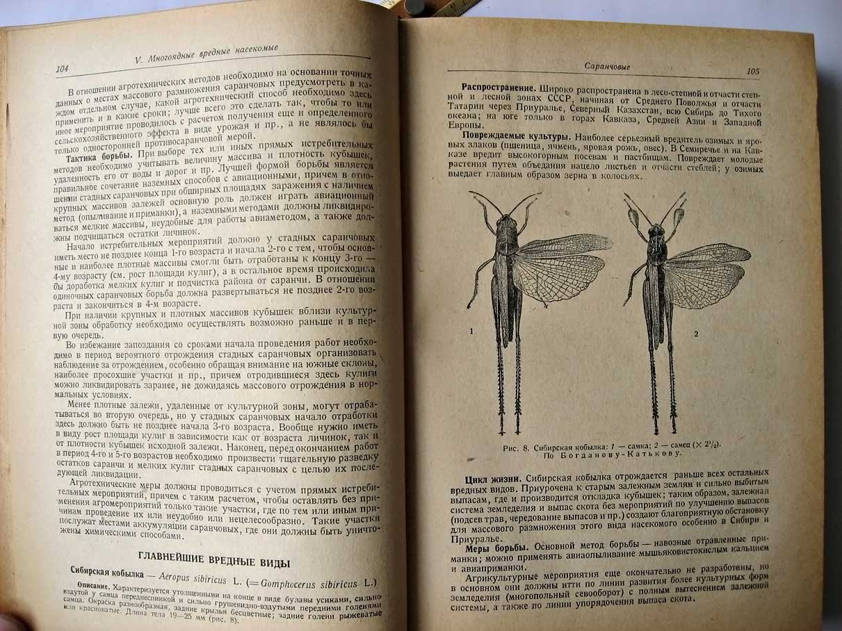 Щеголев В. Насекомые вредящие полевым культурам.