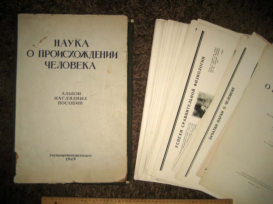 Наука о происхождении человека.