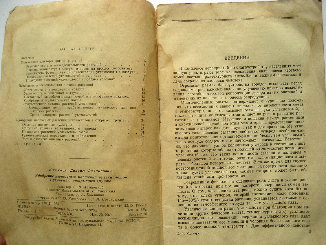 Юхимчук Д. Удобрение цветочных растений углекислотой в условиях открытого грунта.