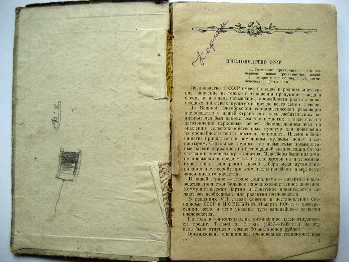Опыт передового пчеловодства.