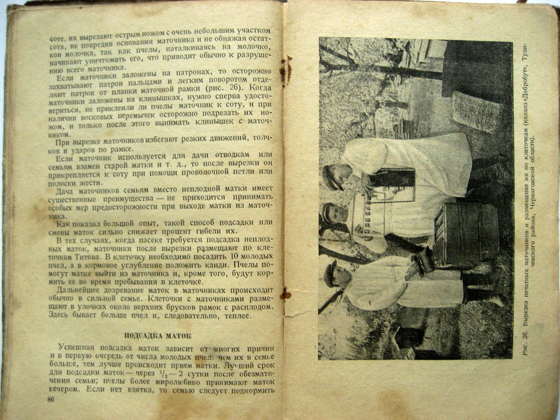 Опыт передового пчеловодства.