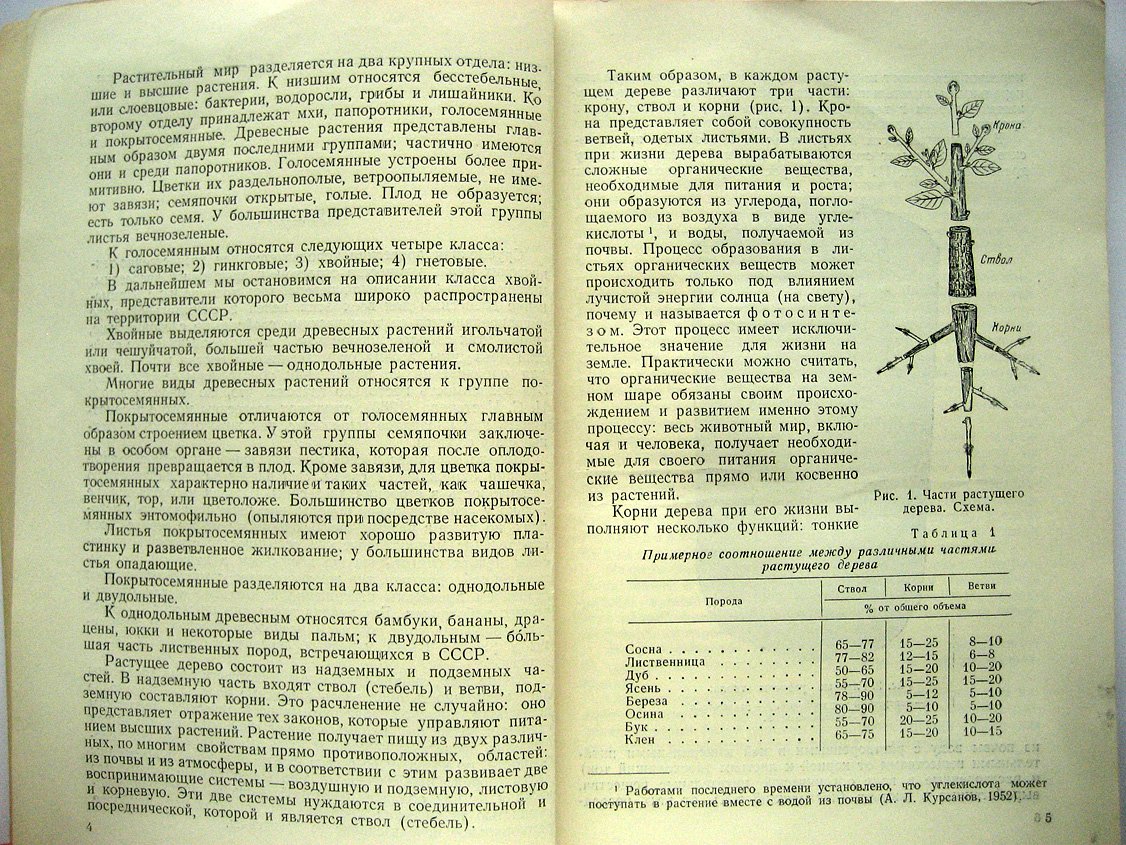 Перелыгин Л. Строение древесины.