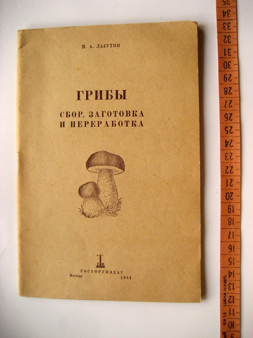 Лагутин И. Грибы. Сбор, заготовка и переработка