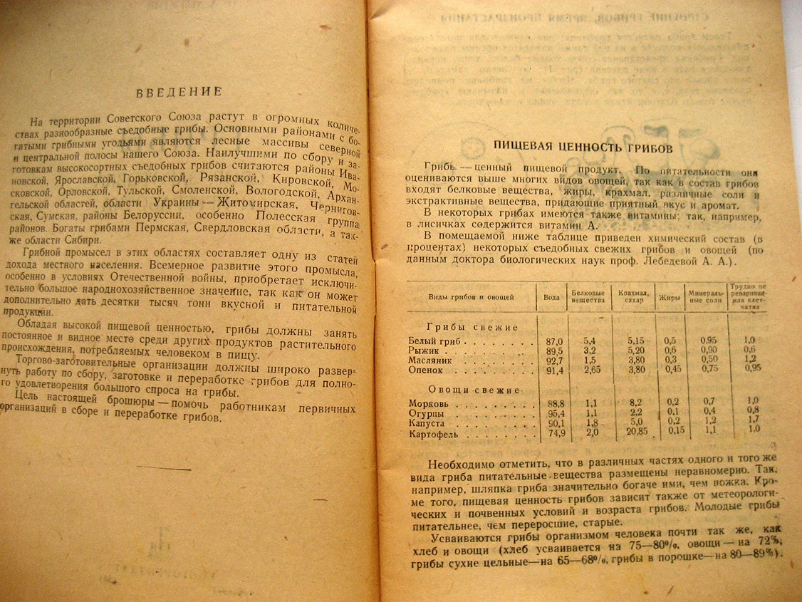 Лагутин И. Грибы. Сбор, заготовка и переработка